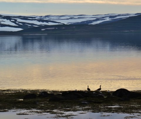 Almenningssamgöngur. Verðkönnun á akstri á einkaleyfum Fjórðungssambands Vestfirðinga.
