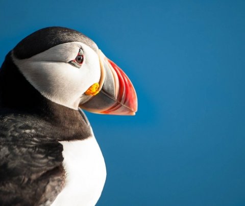 Markaðssetning Vestfjarða – hvert er verið að fara?