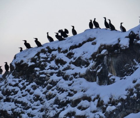 Heildaríbúafjöldi svipaður, en mikill munur milli svæða