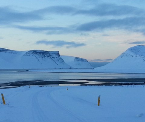 Dýrafjörður, Mýrar og vegur út að Núpi