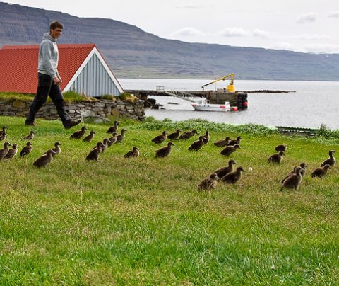 Stefna og framtíðarsýn í íslenskra ferðaþjónustu