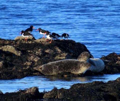 Umsóknarfrestur í Uppbyggingarsjóð runninn út