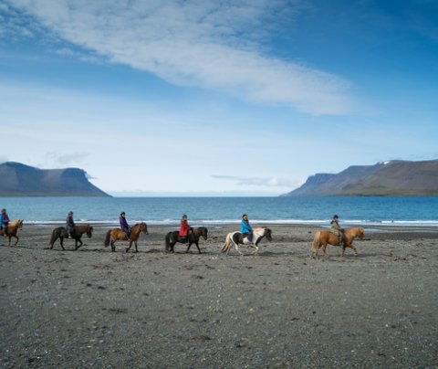 Verkefnastjóri í verkefnið Öll vötn til Dýrafjarðar