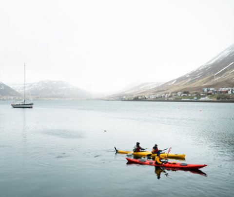 Ráðgjöf til að bæta stafræna getu