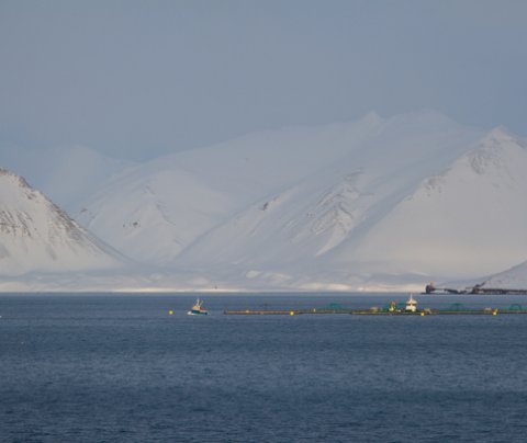 Yfirlýsing frá stjórn Vestfjarðastofu, Vesturbyggð, Tálknafjarðarhreppi, Ísafjarðarbæ, Bolungarvíkur…