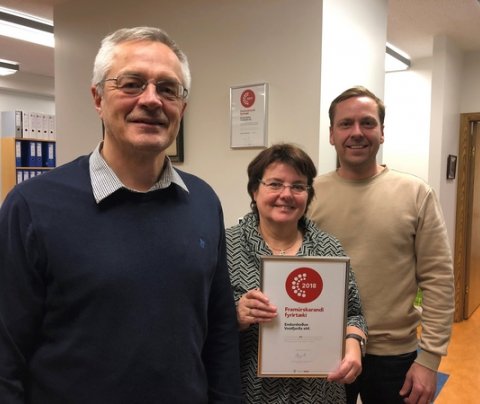 Endurskoðun Vestfjarða