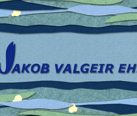 Hafsjór af hugmyndum - Jakob Valgeir