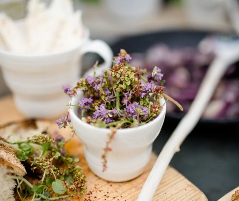 Matur og matarupplifun - Food and food experiences