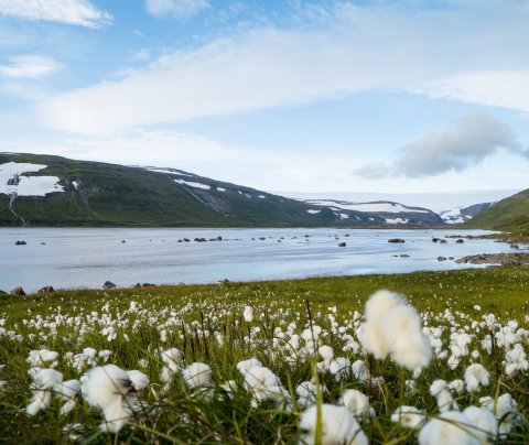 Mynd eftir Hauk Sigurðsson