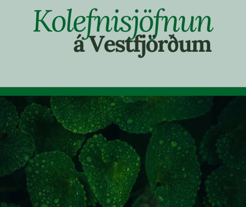 Útgáfa: Kolefnisjöfnun á Vestfjörðum
