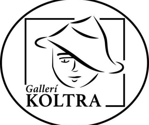 Koltra - Sumarstarf á Þingeyri