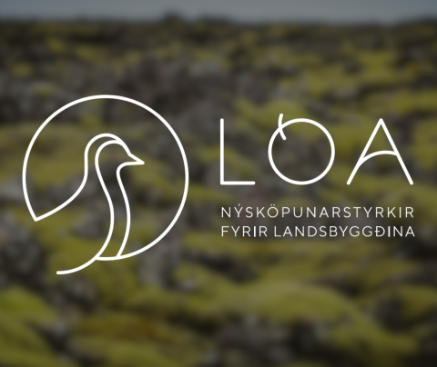 Lóan úthlutar styrkjum