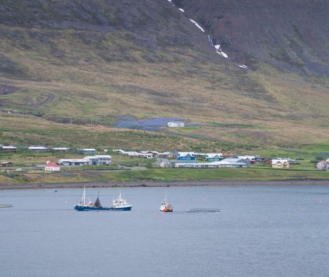 Kynningarfundur Tækniþróunarsjóðs