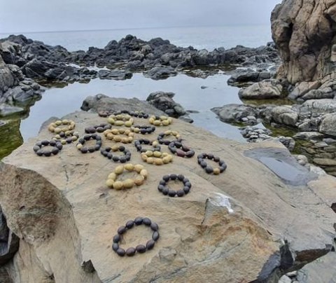 Myndin er fengin af heimasíðu Fjöruperlur.is með leyfi frá eiganda.