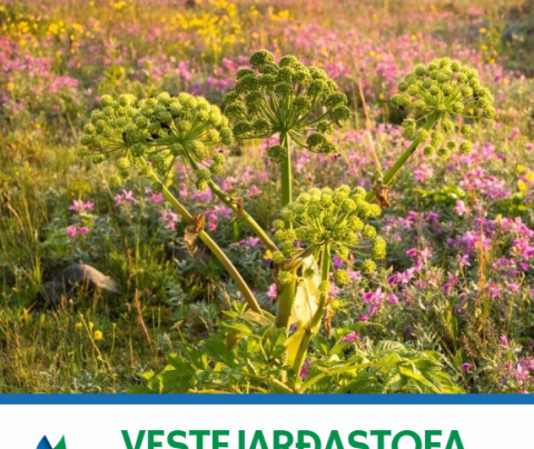Fréttabréf maímánaðar er komið út