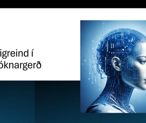 Gervigreindin gagnleg í gerð styrkumsókna