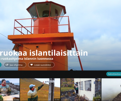 Skjáskot af vefsíðu finnska ríkisútvarpsins þar sem Soð í Dýrafirði er til sýninga um þessar mundir.