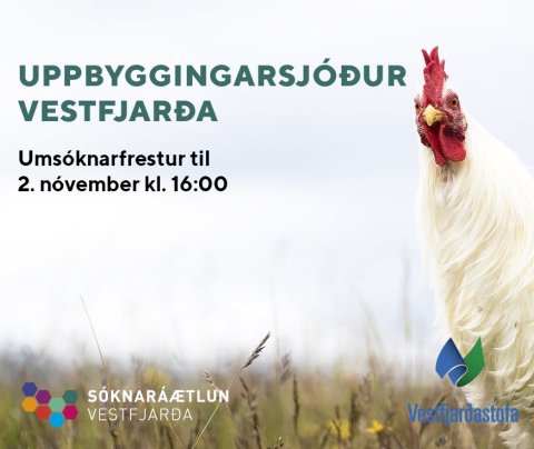 Vinnustofur Uppbyggingarsjóðs Vestfjarða