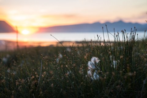 Fagmennska og gæði í ferðaþjónustu á Vestfjörðum