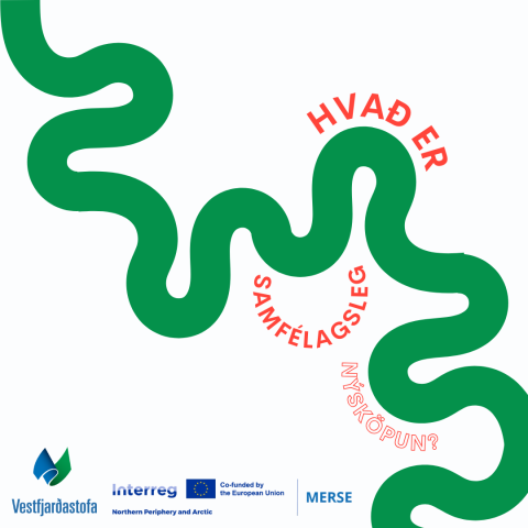 Hvað er samfélagsleg nýsköpun?