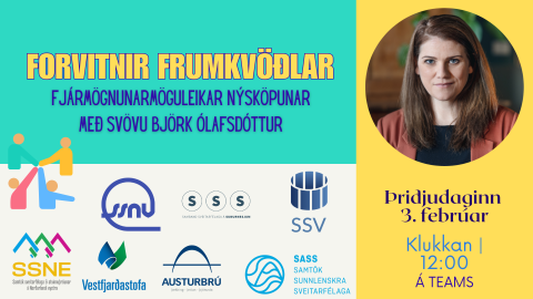 Forvitnir frumkvöðlar: Fjármögnunarmöguleikar nýsköpunar