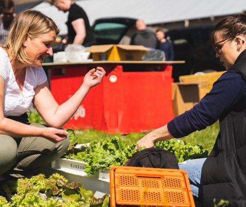 Sveitamarkaður á FLAK, Patreksfirði.
Ljósm. Gígja Skjaldardóttir