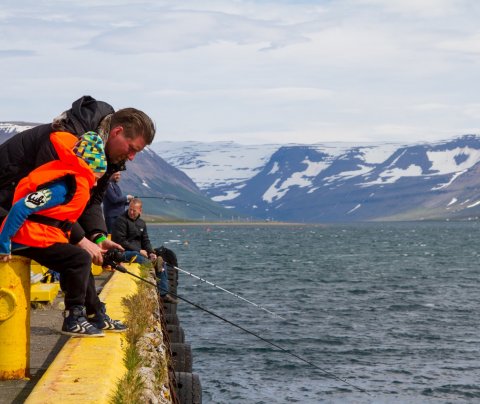 Mynd. Haukur Sigurðsson