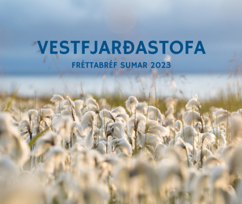 Fréttabréf sumarsins er komið út