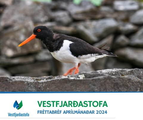 Fréttabréf aprílmánaðar er komið út!
