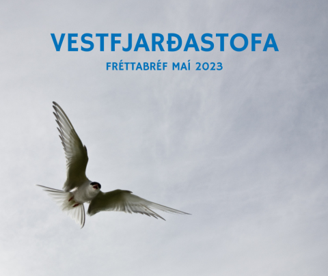 Fréttabréf maí 2023
